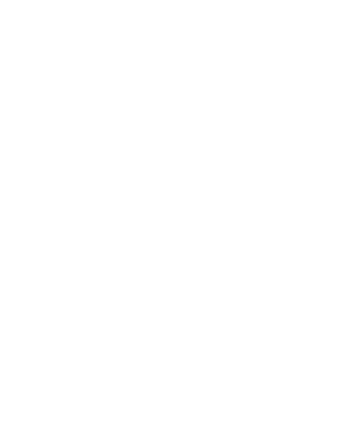 Vertical white logo